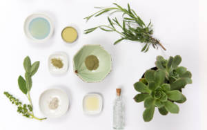 plantes_medecine_naturelle_naturopathie_contact_Toulouse_Elisabeth_lacoste_original