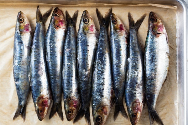 sardines omega 3 naturopathie