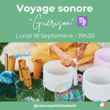 Voyage sonore “Guérison” – Vierge – Toulouse COMPLET