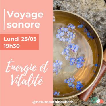 Voyage Sonore ÉNERGIE & VITALITÉ – Toulouse COMPLET