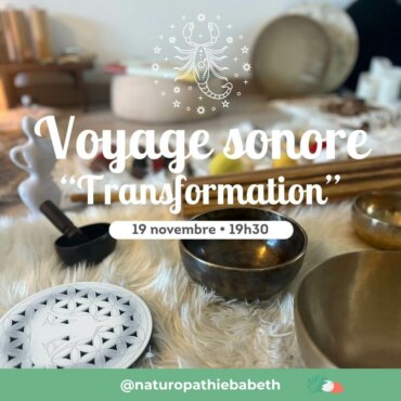 Voyage sonore TRANSFORMATION (Scorpion) – Toulouse