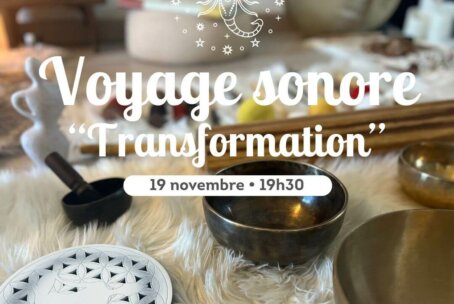 Voyage sonore TRANSFORMATION (Scorpion) – Toulouse