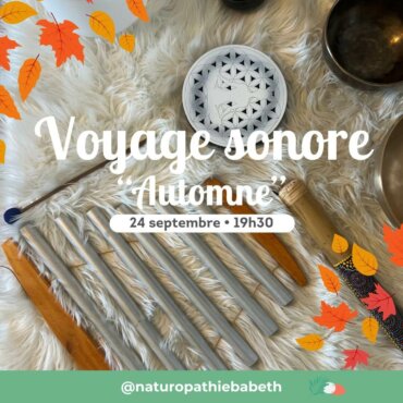 Voyage sonore aux bols “Automne” – Toulouse