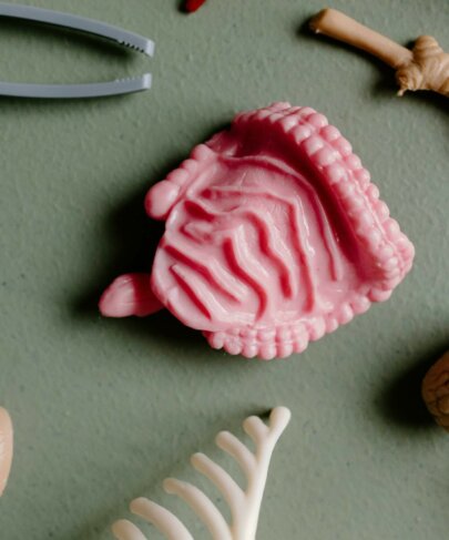 Ton ventre, ton deuxième cerveau : cerveau émotionnel