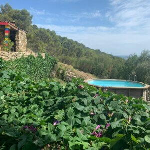 week-end naturopathie, belle peau, séjour bien-être, hérault